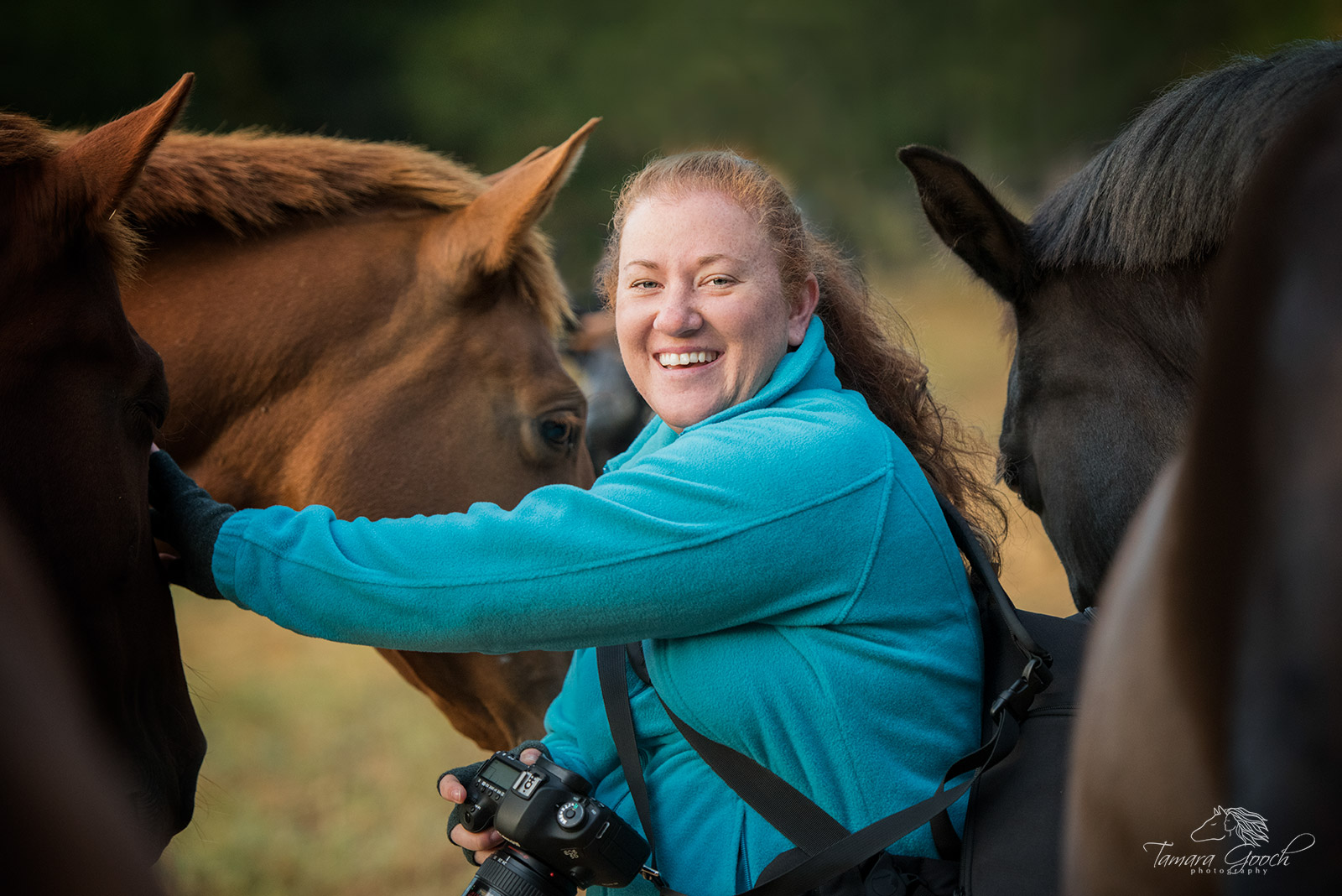 Horse Photography Workshops