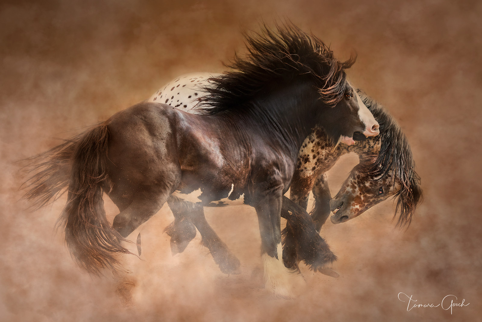"Playful Gypsy Horses" is a limited edition museum-quality fine art print that will match a wide variety of decorative styles...