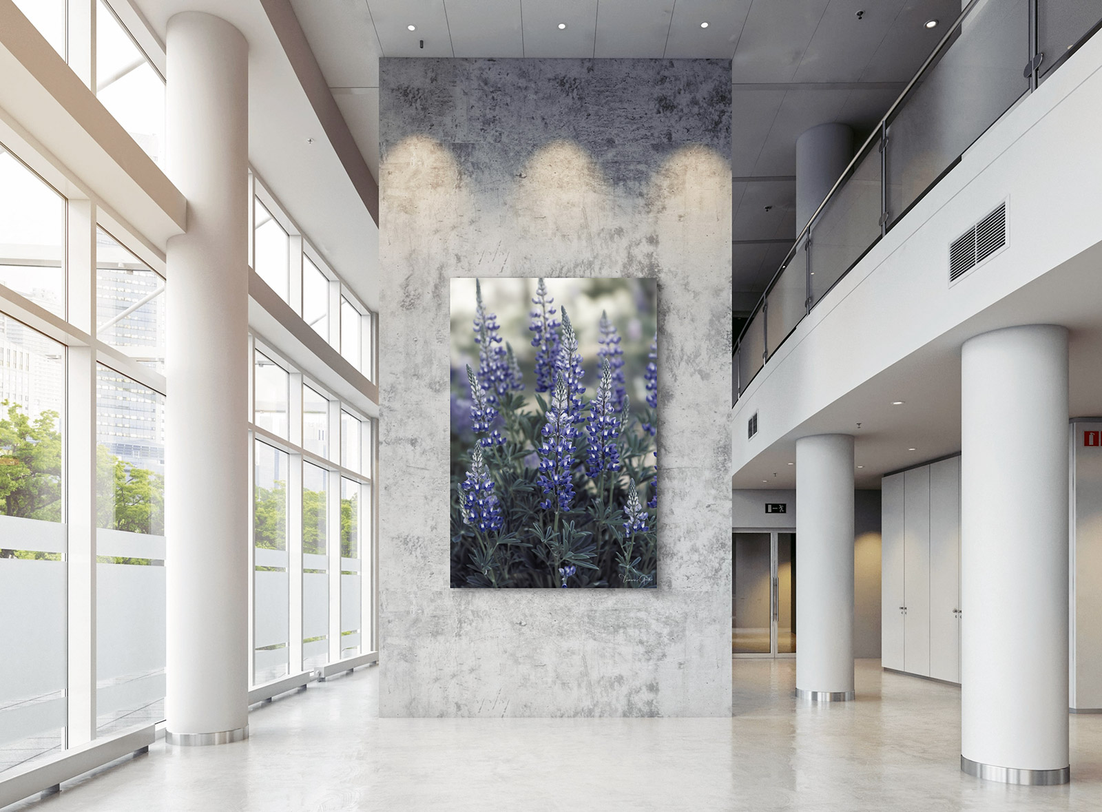 Lupin Flower fine art print