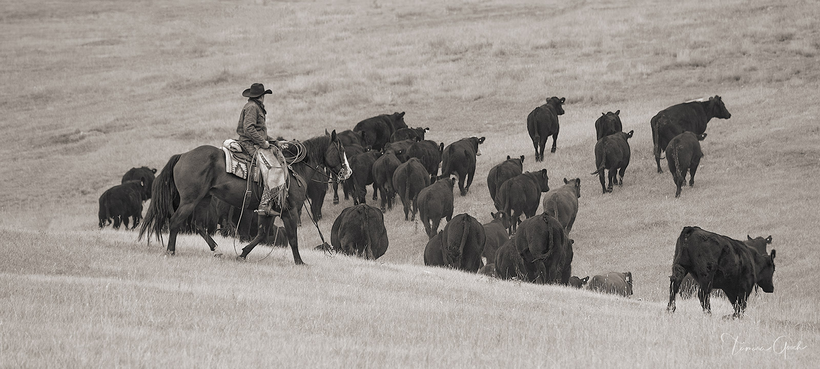 Cowboy Moving Cattle is a Limited Edition Print of 50Care and Handling How do I clean my artwork?Although I use the finest materials...