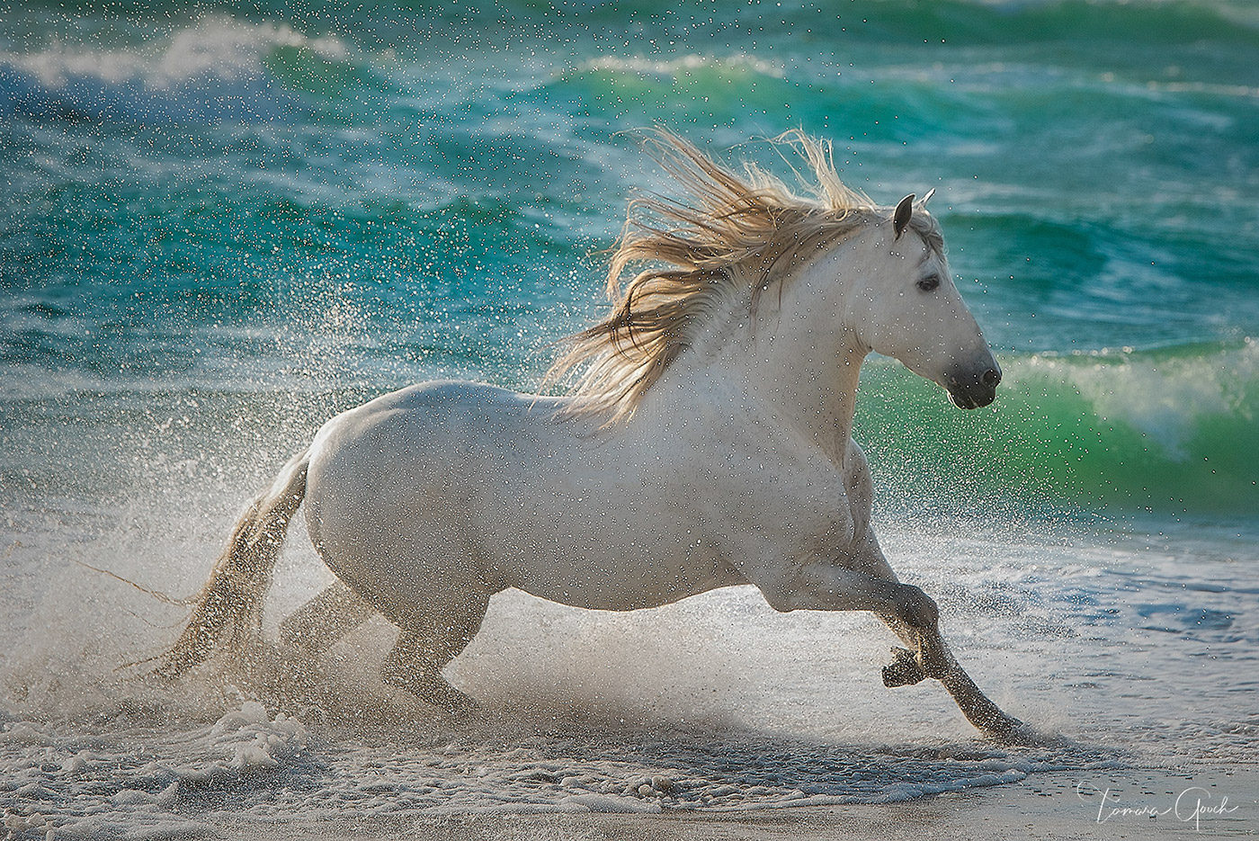 "Sea Horse" is the perfect piece of equestrian art for those wanting a mix of horses and the sea. Whether you have coastal, farmhouse...