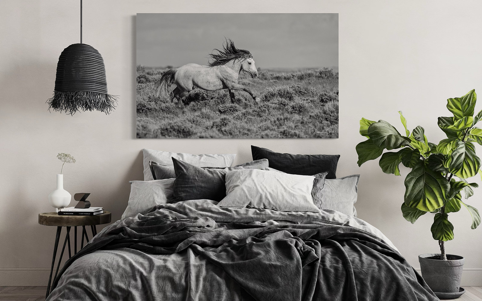 Horse Photography Prints. Pictures available as an Acrylic, Metal, Canvas, or Fine Art Paper limited edition wall art prints....