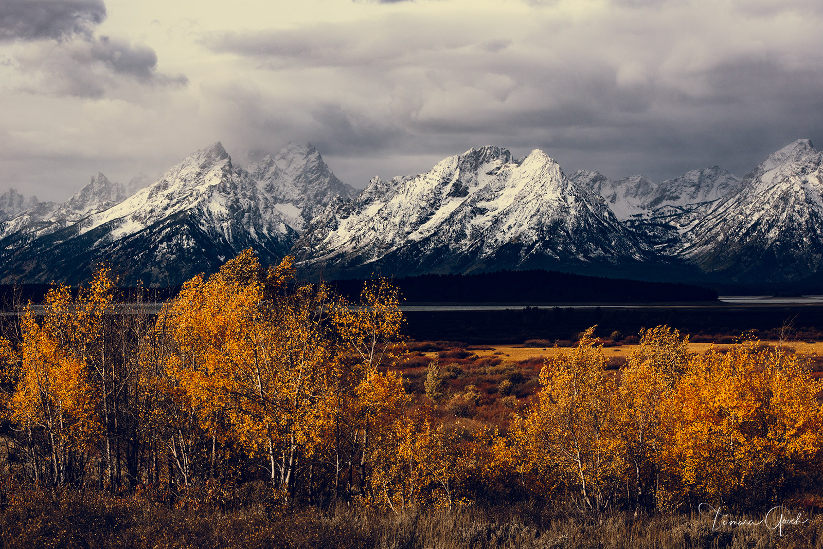 Fine art limited edition print of stunning fall color set against the Teton Mountains in Grand Teton National Park.