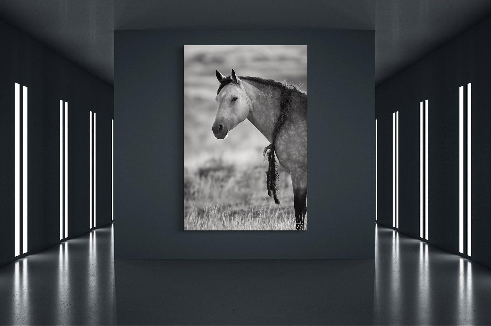 Black and white limited edition photograph of a wild mustang mare