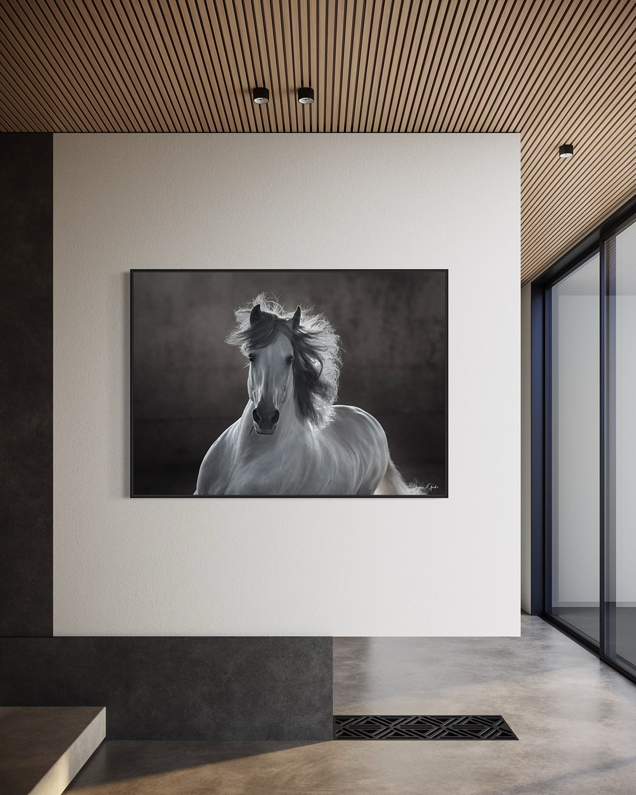 Andalusian horse limited edition black and white fine art print