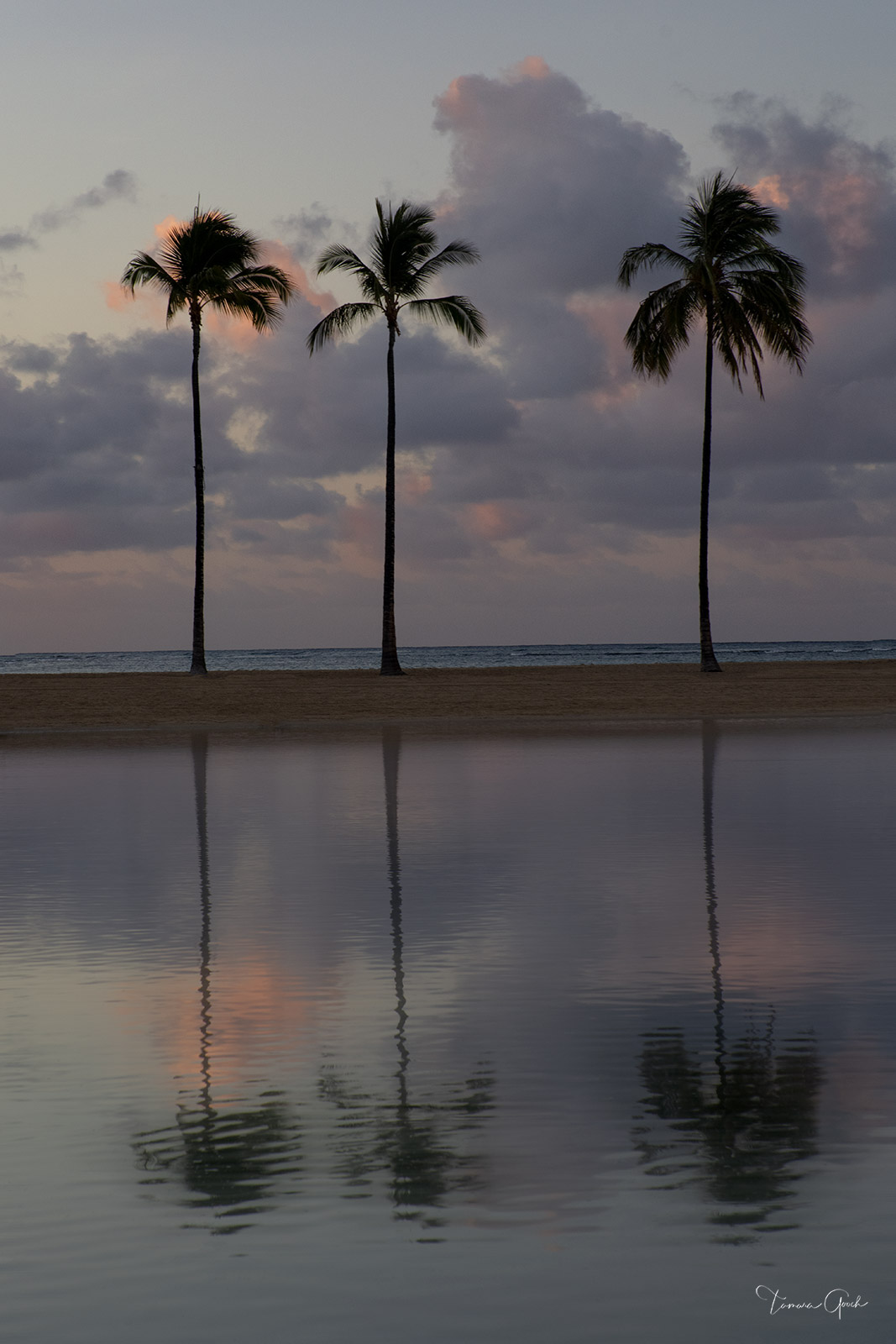 The beautiful photo "Three Palm Trees" was photographed on the island of Hawaii as morning thunder clouds rolled by. A stunning...