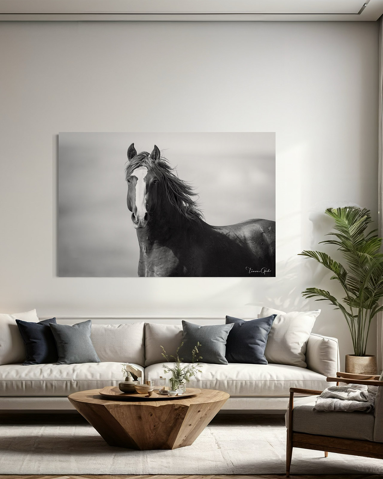 Black and white photo print of a wild mustang stallion.